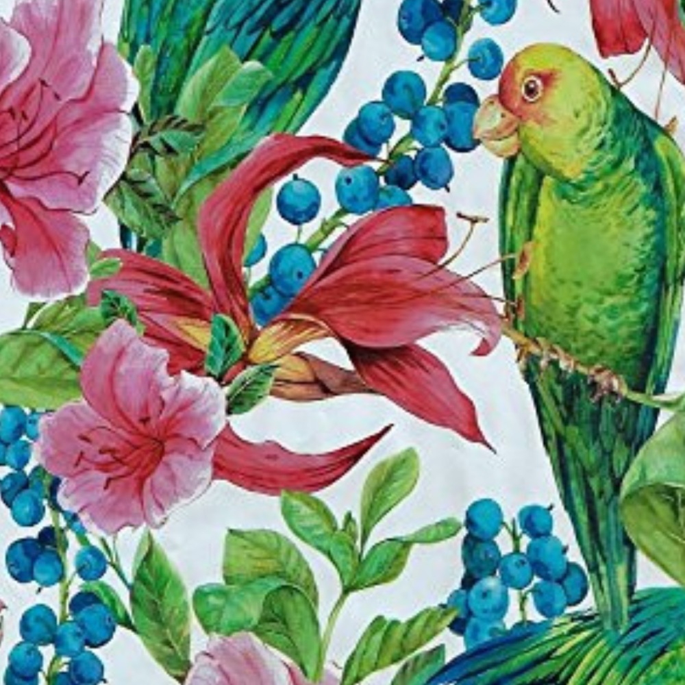 25 10X13 Poly Mailers Tropical Parrot Bird PRICE IS FIRM - Picture 14 of 14